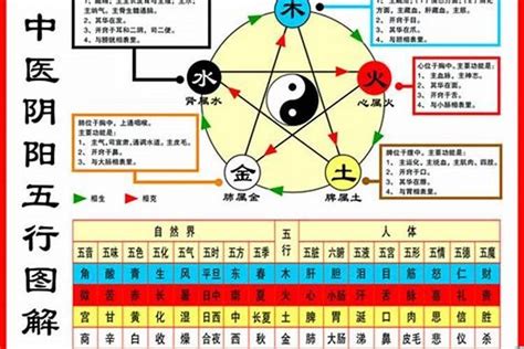 1984是什么鼠|1984年属鼠是什么命，84年出生五行属什么